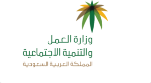 client ministry of labor and social development 1