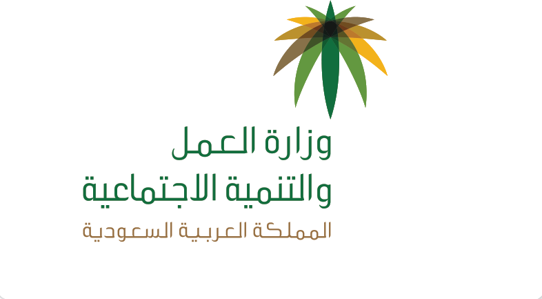 client-ministry-of-labor-and-social-development